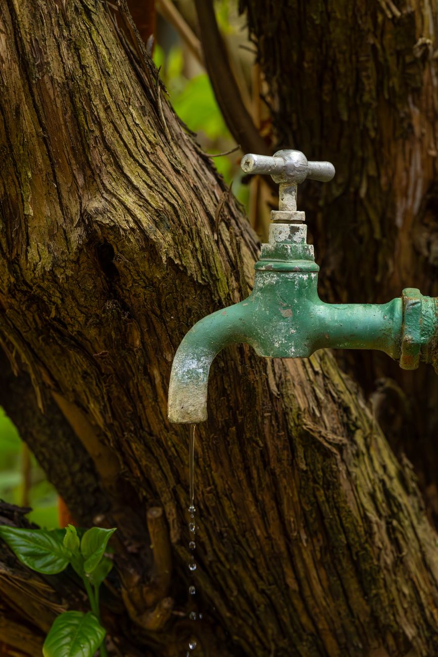 rusty outdoor water tap dripping by a tree